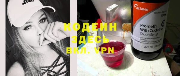 ешки Гусь-Хрустальный