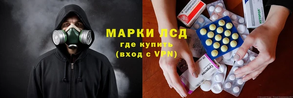 амф Гусев