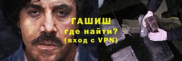 амф Гусев