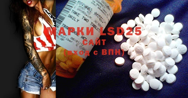 шишки Сосновка