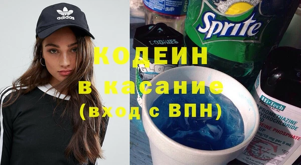 амф Гусев