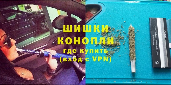 шишки Сосновка