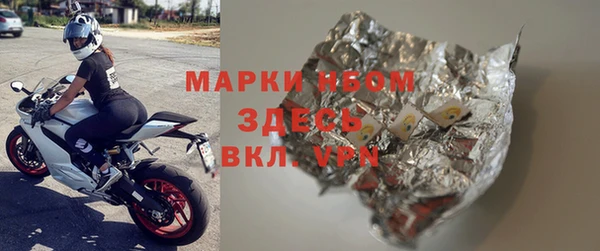 амф Гусев