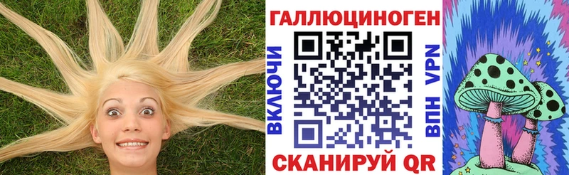 гидра рабочий сайт  Серпухов  Псилоцибиновые грибы Cubensis 